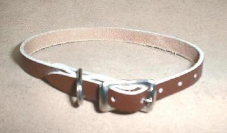 Single Layer Leather Collar 3/8" X 10"
