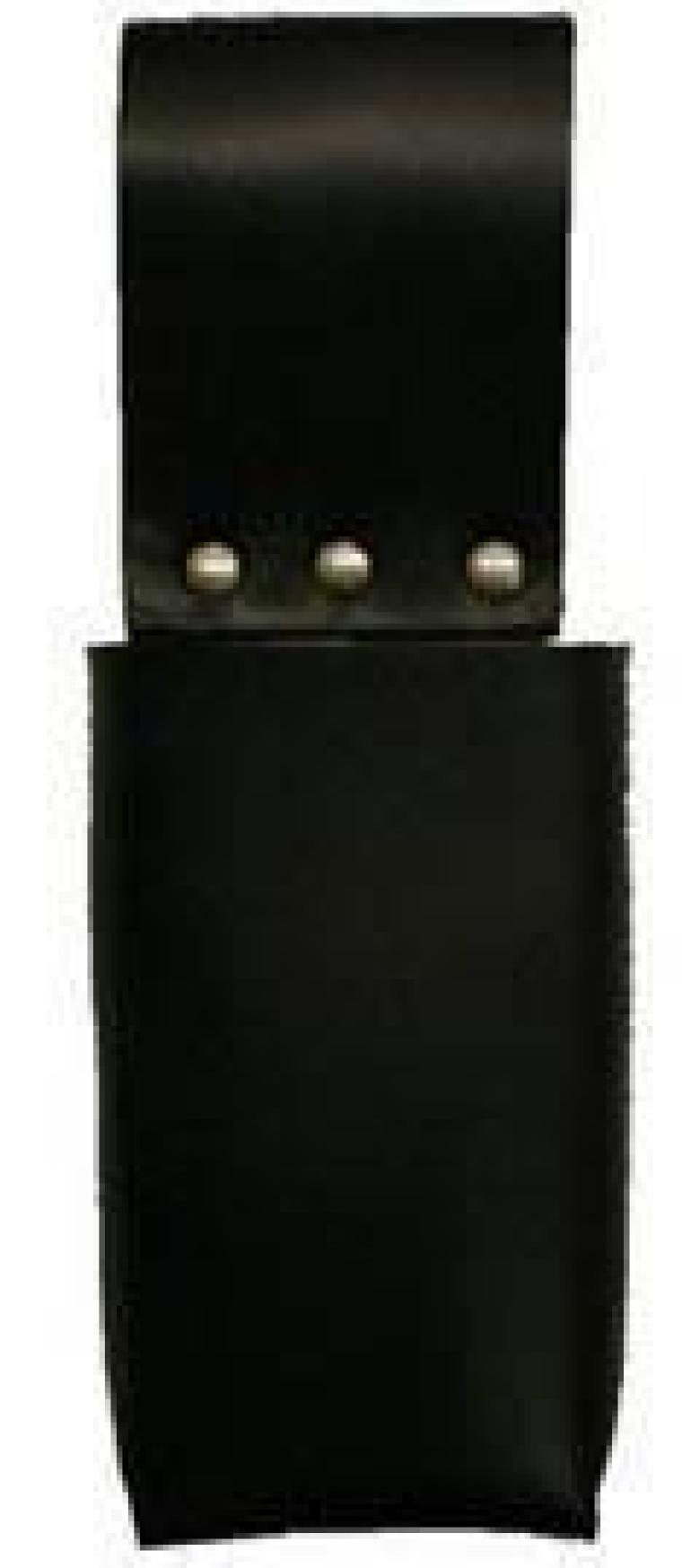 Radio or Téléphone Case